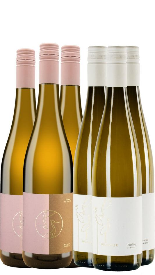 6er Paket "Hej Riesling"